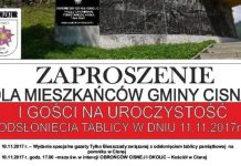 Pomnik w Cisnej w nowej odsłonie – uroczystość 11 listopada
