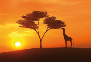 Zaproszenie: Czwartek 7 grudnia - Andrzej Łupina "Afryka a sprawa polska" 3 Zaproszenie: Czwartek 7 grudnia - Andrzej Łupina "Afryka a sprawa polska" afryka