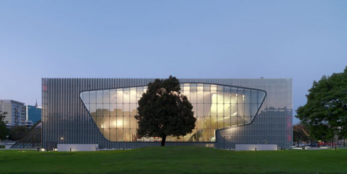 Polin-muzeum-drzewo