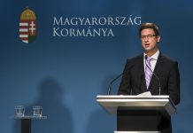 Węgierski minister nazwał ukraińską ustawę oświatową „półfaszystowską”