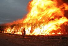 Syria: ISIS walczy z mieszkańcami północnej Syrii podpalając pola pszenicy. Rolnicy są bezradni