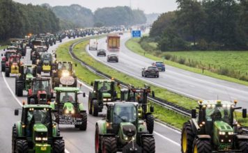 Powstanie chłopskie w Holandii! Przeciw Totalnemu Ocipieniu rządów PolitykaPolska Holenderscy rolnicy protestuja przeciw polityce klimatycznej 1