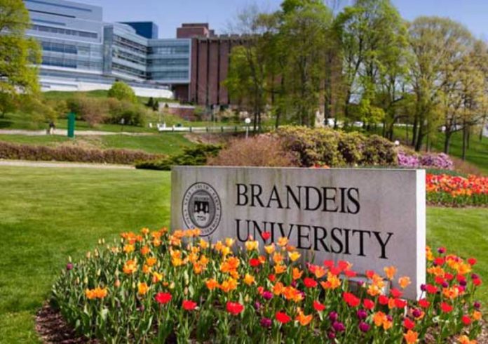 Brandeis-University