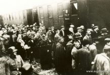 14.06.1940: Pierwszy transport więźniów do Auschwitz. Niemiecki historyk: „Polska miała zostać klasą robotniczą bez przywódców”