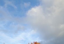 Strefa czystego transportu. (4) Podsumowanie.