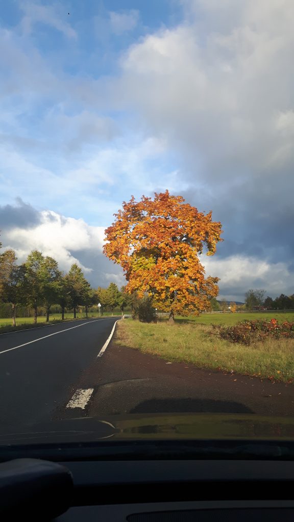 Strefa czystego transportu. (4) Podsumowanie.