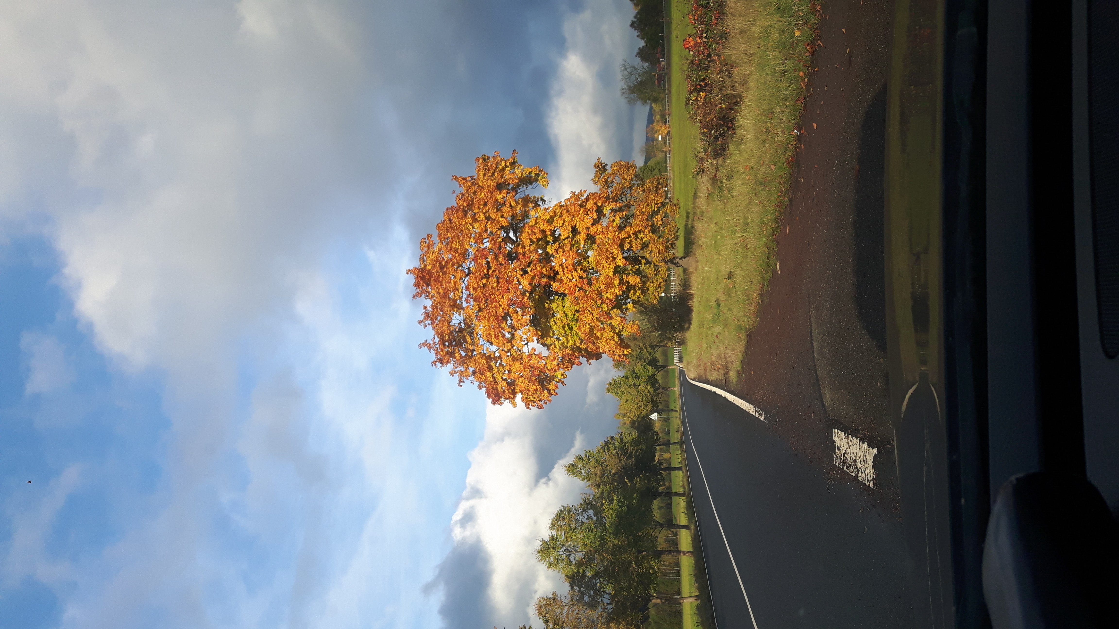 Strefa czystego transportu. (4) Podsumowanie.