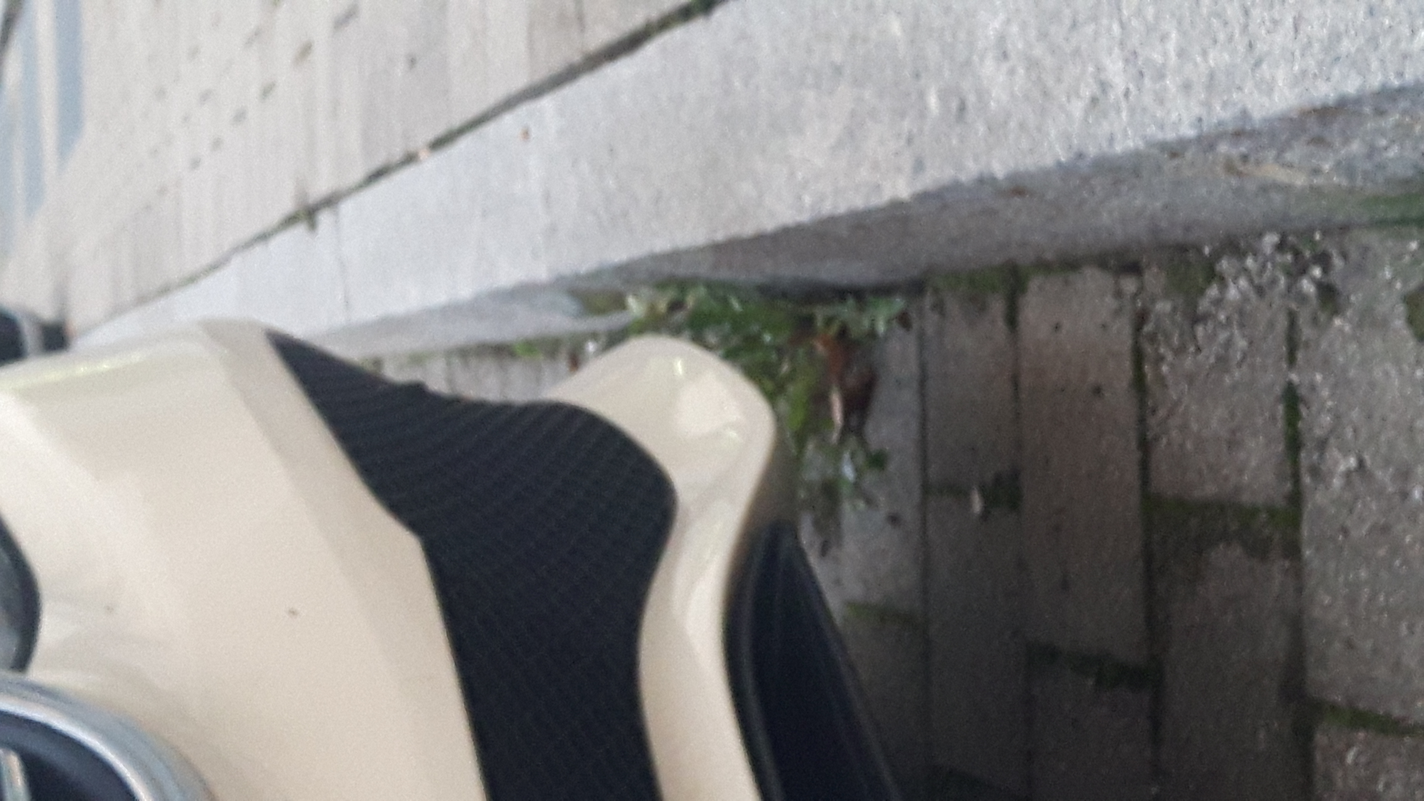 Strefa czystego transportu. (3)